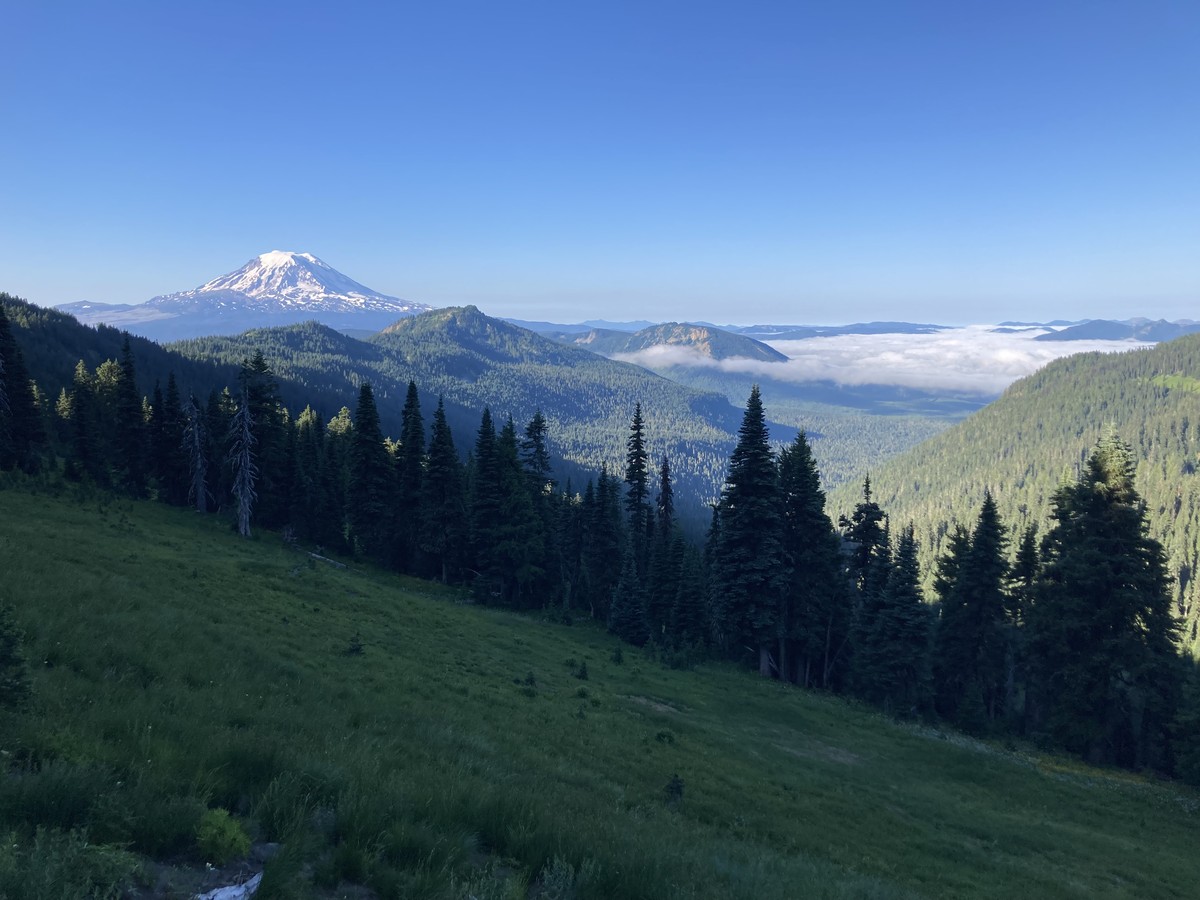 Mt. Adams from the Goat Rocks Wilderness Alpine landscape taken from a hillside in shadow. A stand of tall firs in silhouettte frames the distant view of forested valleys with a retreating layer of low marine clouds under a crisp blue sky. Mt. Adams, snow-clad, glowers on the horizon